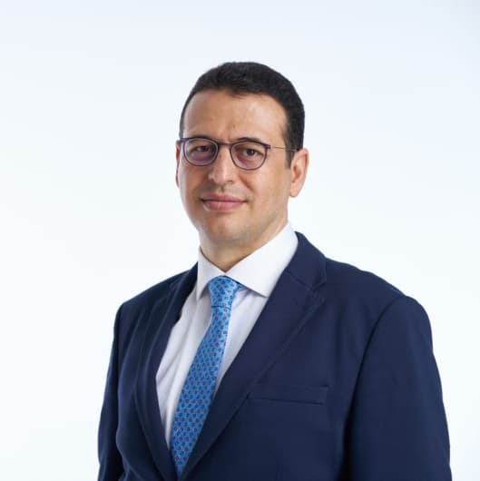 Prof. Dr. Ali Öçgüder